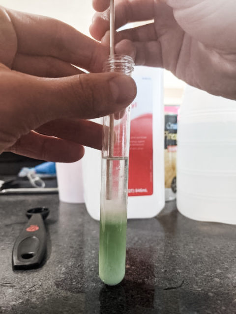 dna extraction lab experiment