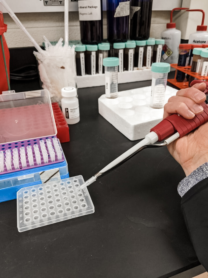 DNA Extraction Kitchen Lab Experiment Entegro Health Probiotics