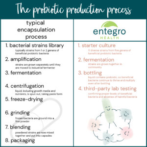 probiotic production process