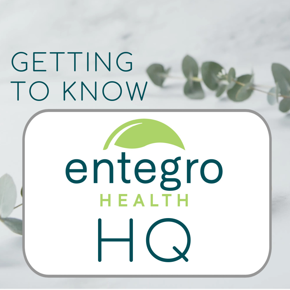 gettingtoknowhq getting to know hq
