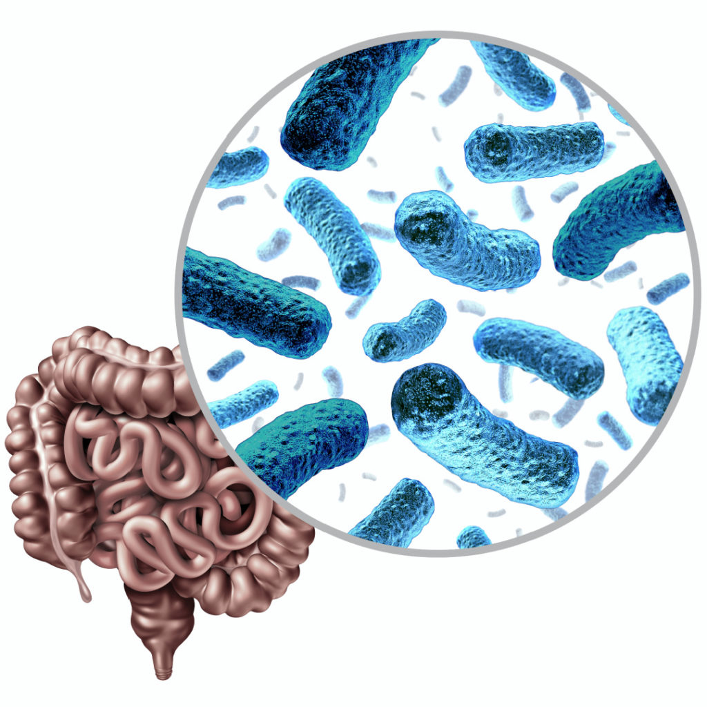 microbiome