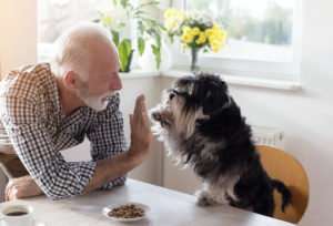 older man with dog