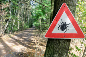 beware of ticks Lyme disease