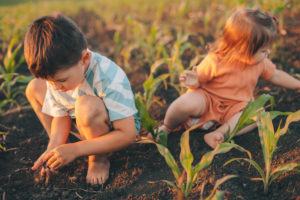 Children playing in soil