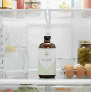 Healthy food in fridge